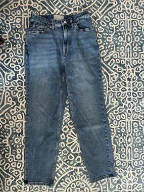 Everlane Straight-Leg Jeans in Medium Blue Wash